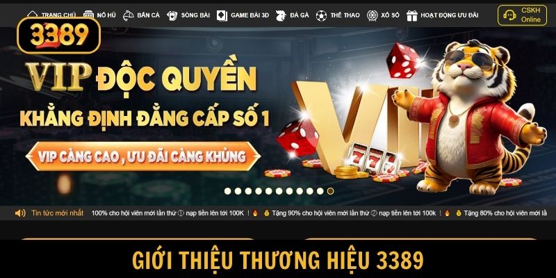 Thương hiệu 3389 thu hút sự chú ý của cộng đồng